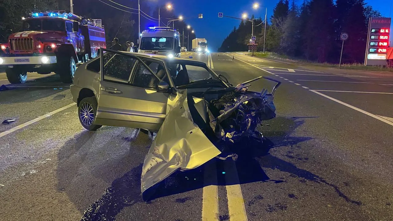 Фото: ГКУ МО «Мособлпожспас»