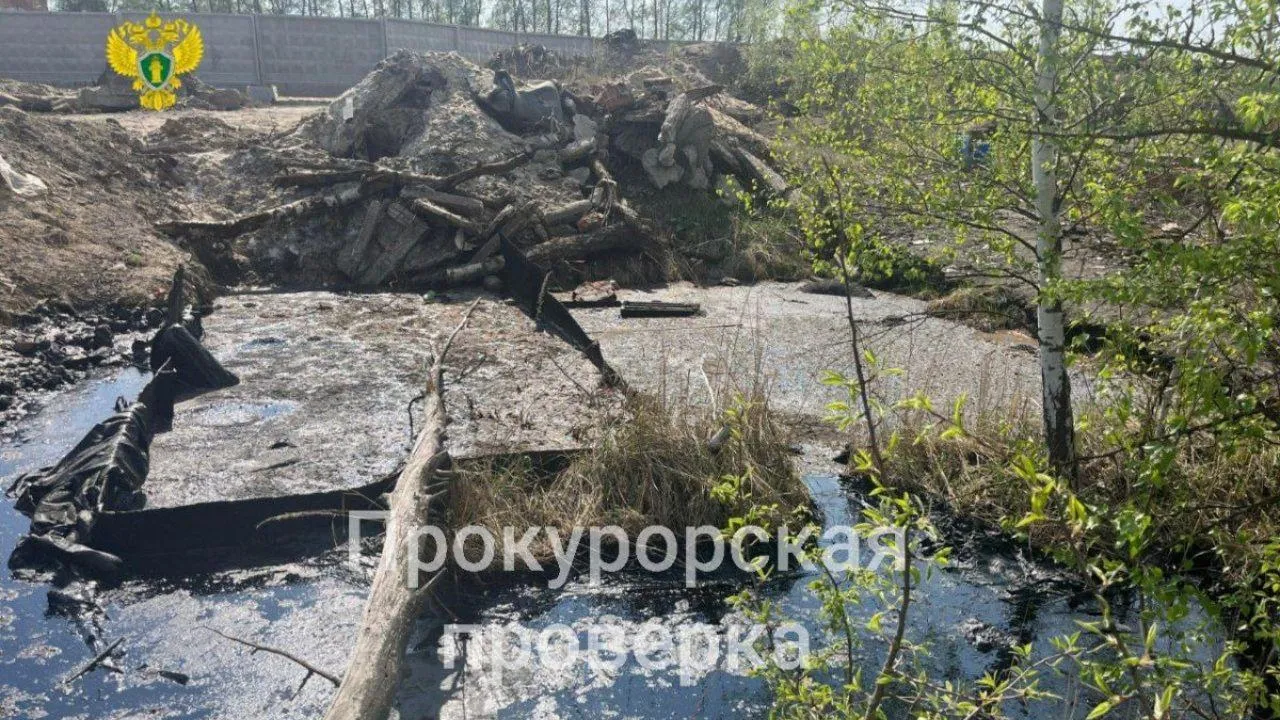 В Тульской области собак отправили на смерть в яму с битумом
