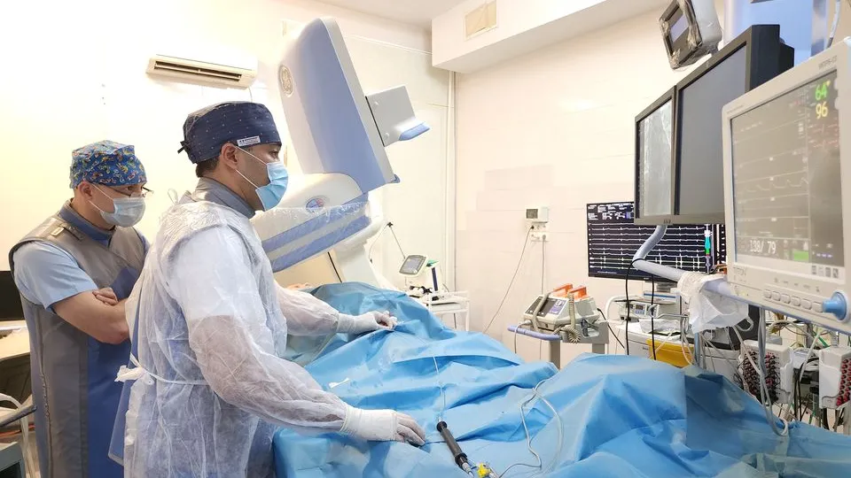 Фото: Медиабанк Подмосковья/Андросова Юлия