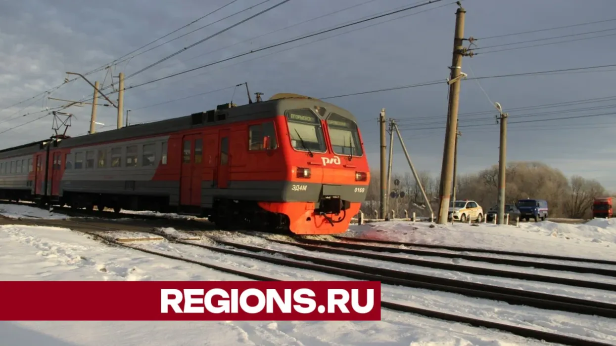 Фото: Василий Тремасов