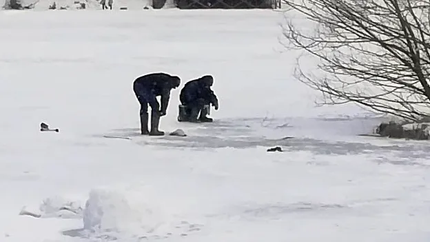 Фото: Дмитрий Кравцов