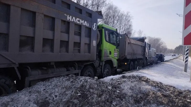 Министерство экологии и природопользования Московской области