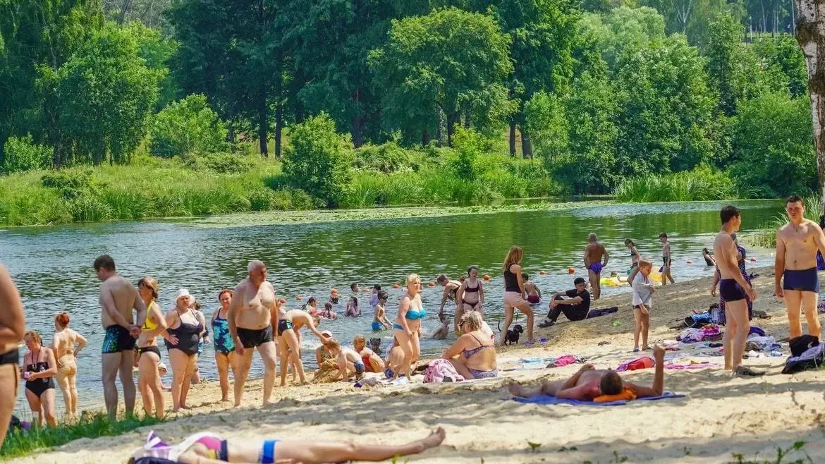 Фото: Министерство благоустройства Московской области