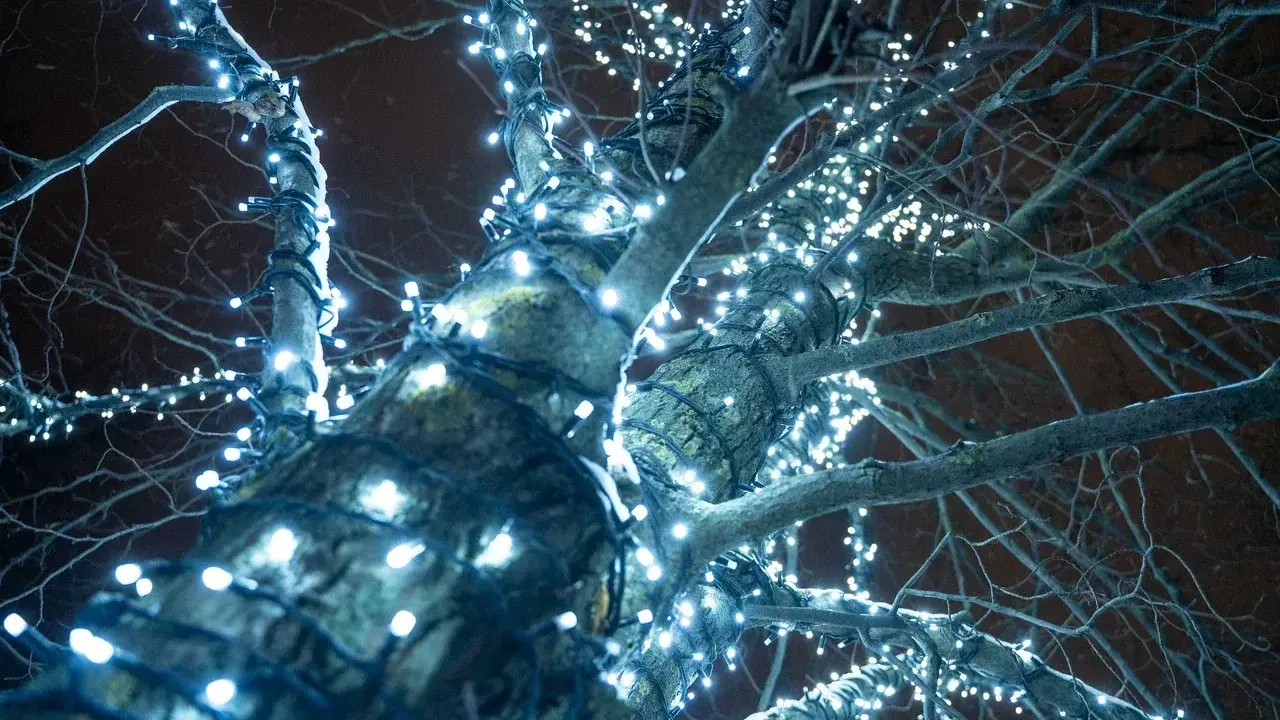 Министерство благоустройства Московской области