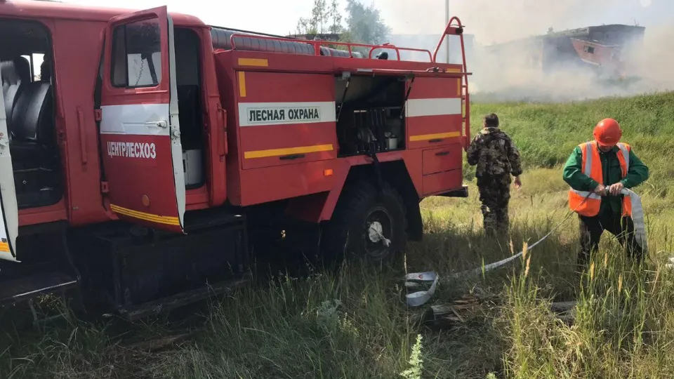 Фото: Комитет лесного хозяйства Московской области