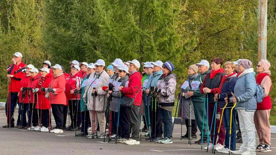 Фото: пресс-служба администрации г. о. Щелково