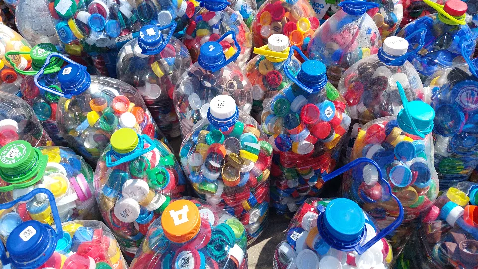 Фото: МедиаБанк Подмосковья/Светлана Плотникова