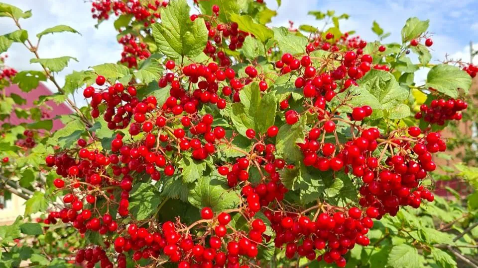 Фото: REGIONS/Юлия Габбасова