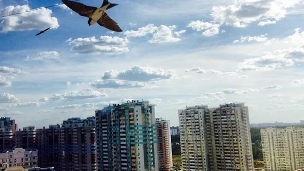Конкурс фотографий подмосковных городов стартовал в Instagram