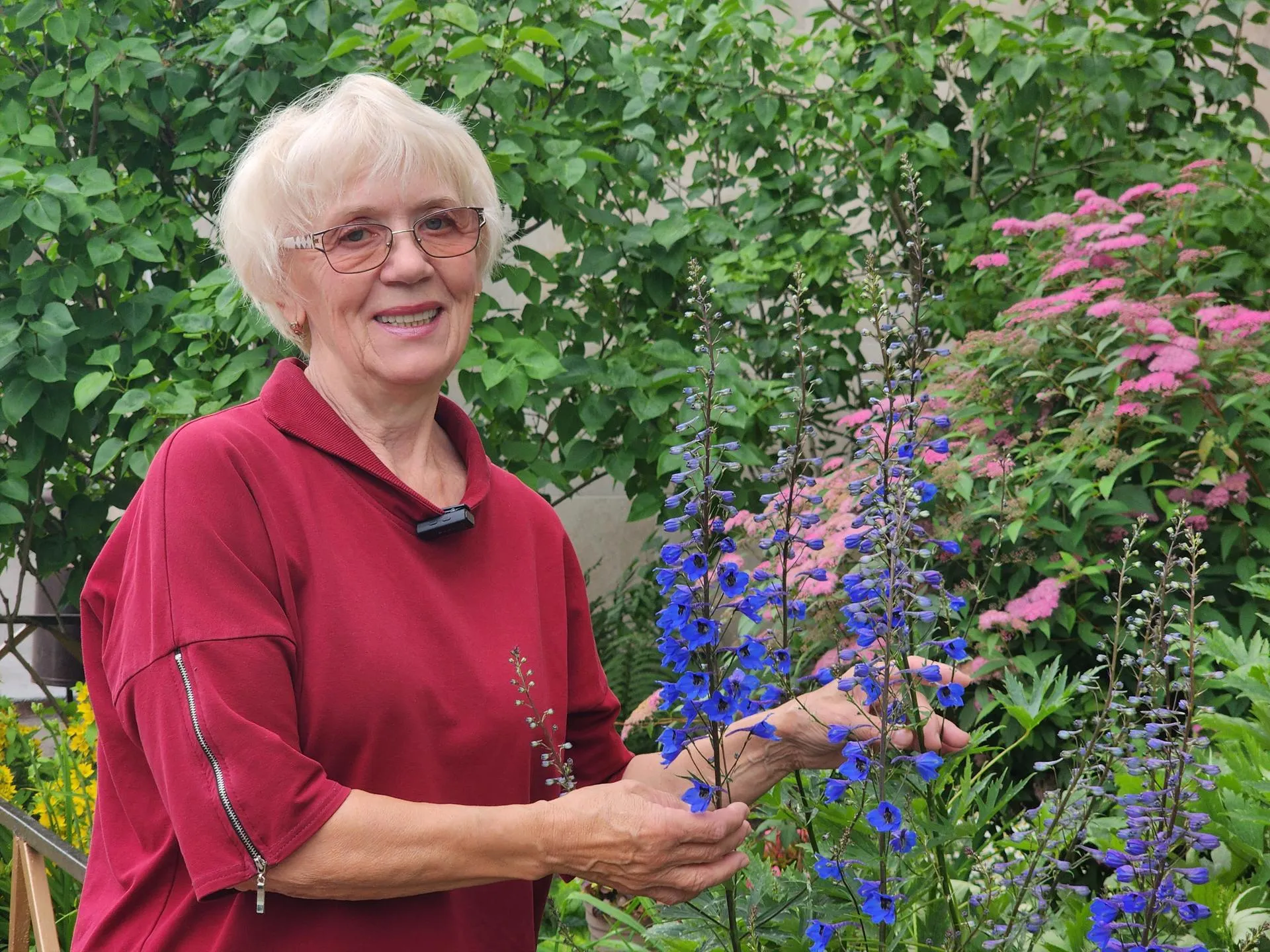 Людмила Шамшура создала сад непрерывного цветения у своего подъезда. Фото: REGIONS/Наталья Дорошева