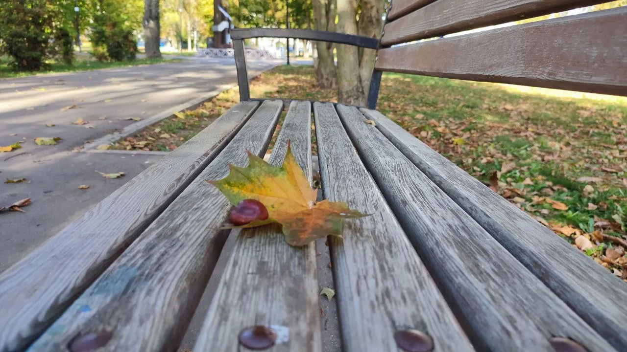 Фото: REGIONS/Елена Забелина