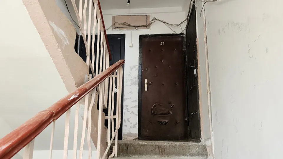 Фото: МедиаБанк Подмосковья/Ольга Аввакумова