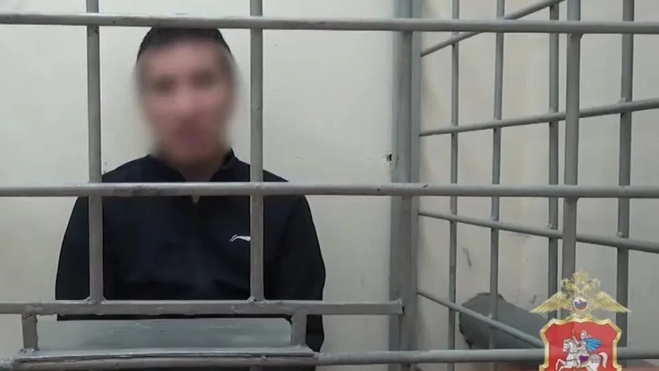 Фото: пресс-служба ГУ МВД России по Московской области