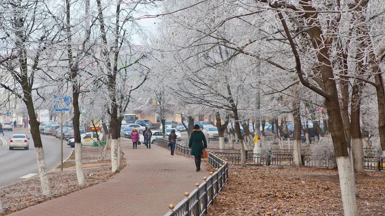 Ад для метеозависимых: погодные качели ждут жителей Москвы и Подмосковья на неделе с 23 по 26 декабря