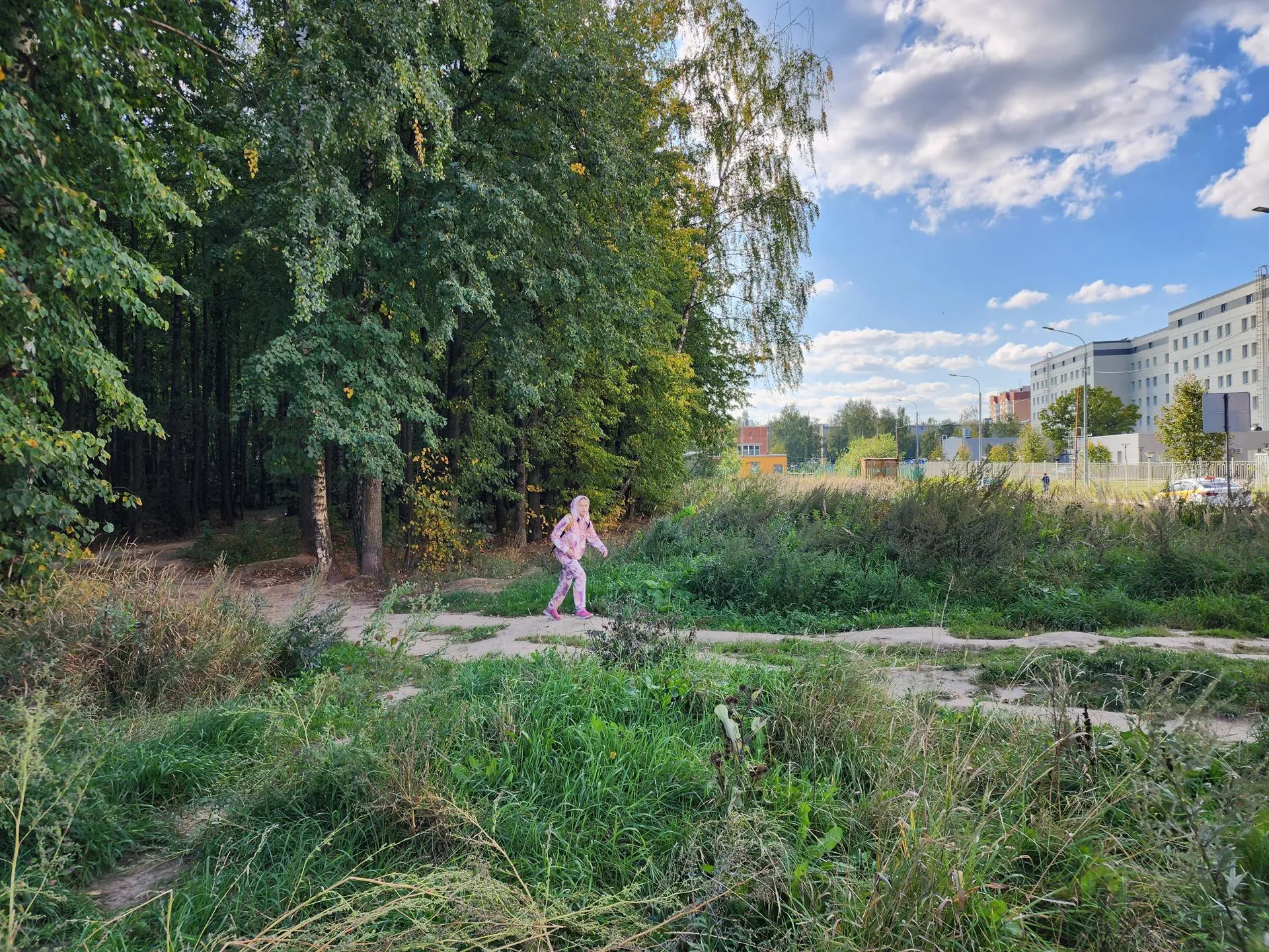 Лесопарковая зона микрорайона Супонево/фото: Хавива Фонина