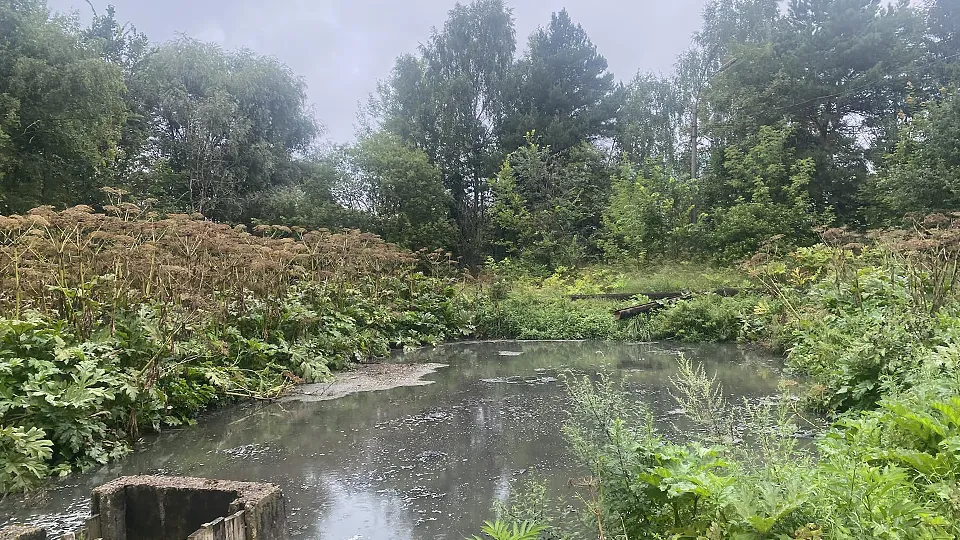 Фото: Министерство жилищно-коммунального хозяйства Московской области