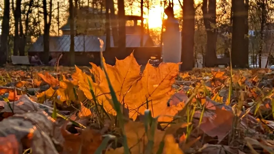 Фото: REGIONS/Алексей Селиверстов