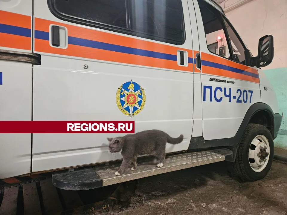 Фото: ГКУ МО «Мособлпожспас»