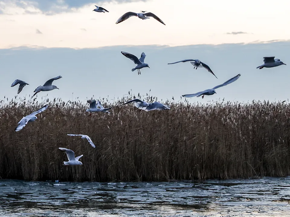 Фото: ТАСС/Кирилл Кухмарь