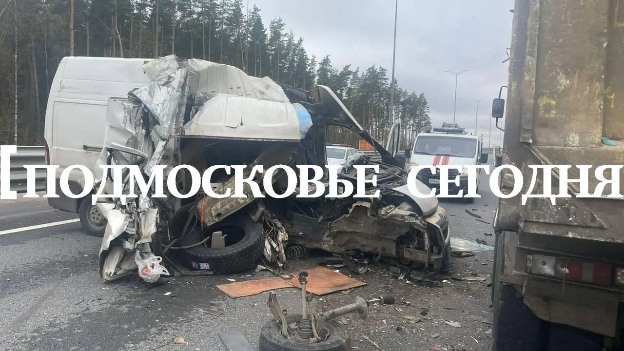 Telegram-канал "Подмосковье сегодня"