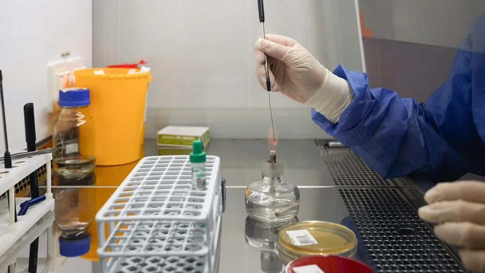 Фото: медиасток.рф