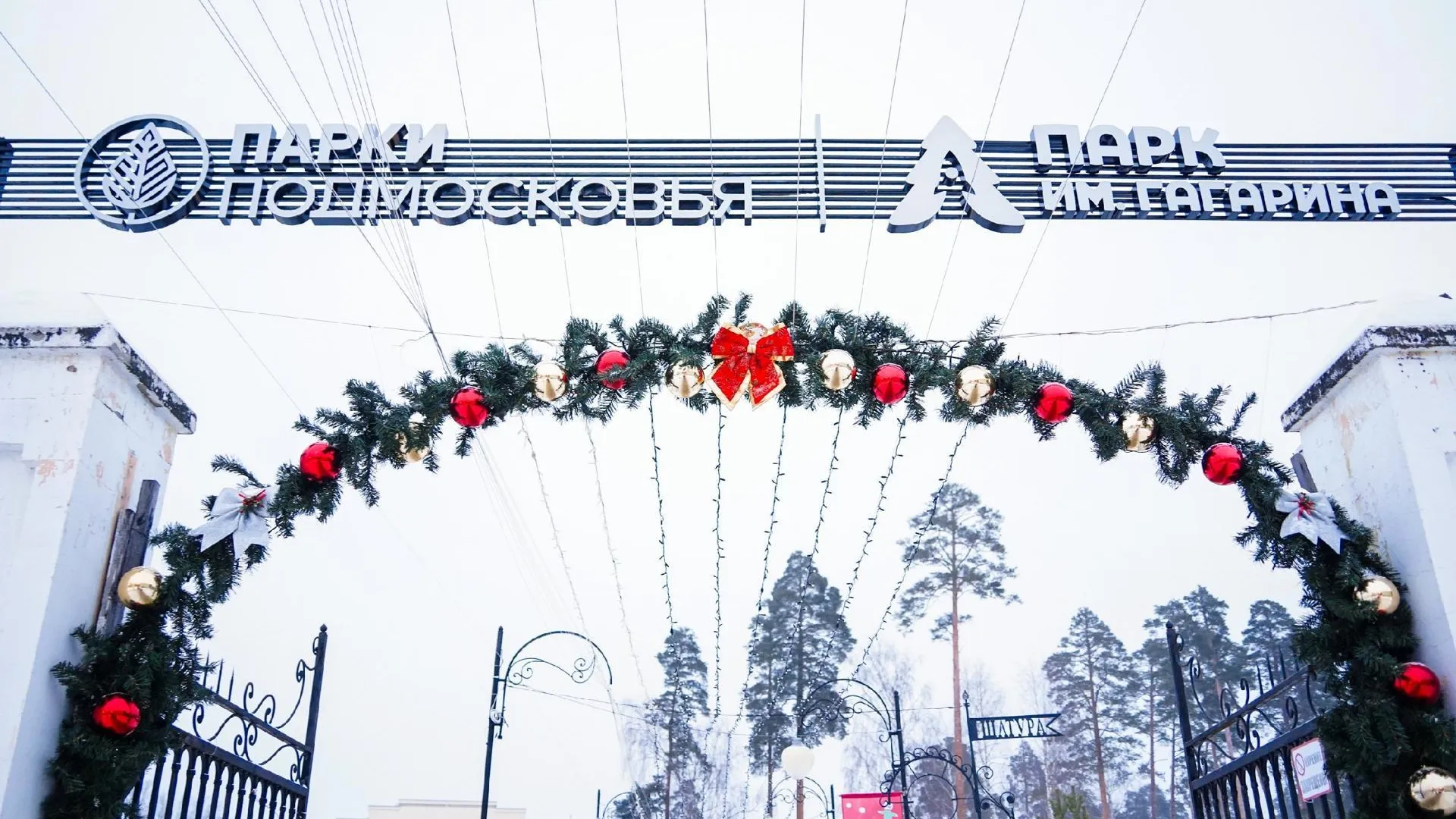 Фото из архива