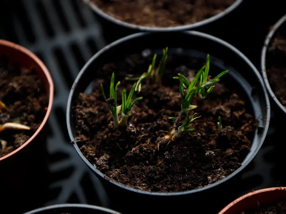 Фото:&nbsp;REGIONS/Наталия Надточая