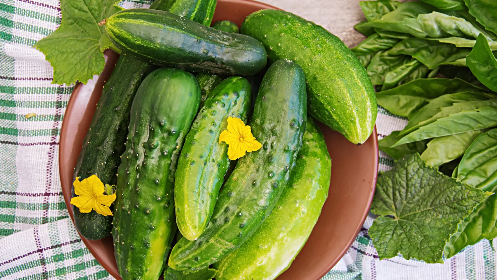 Фото: freepik.com