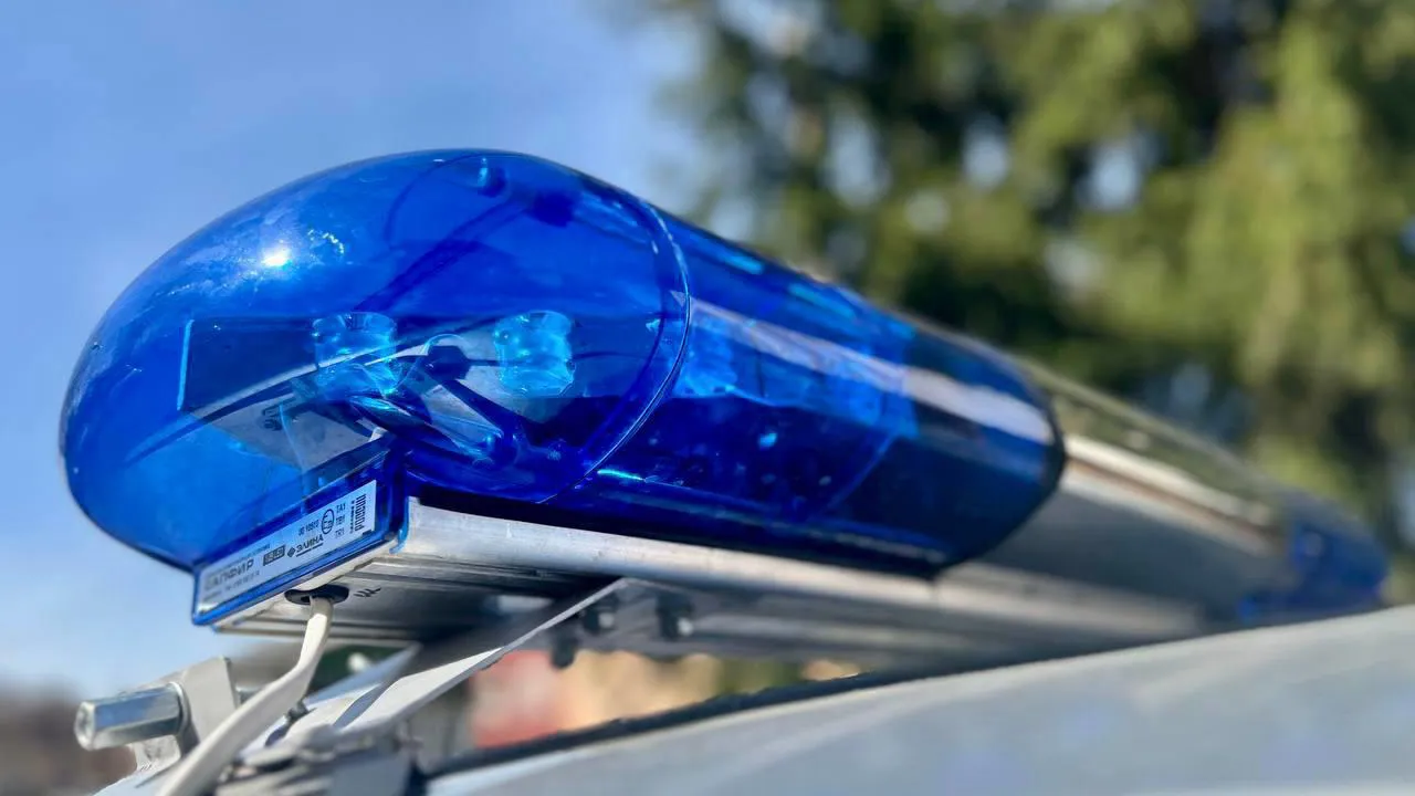 Фото: пресс-служба ГУ Росгвардии по Московской области