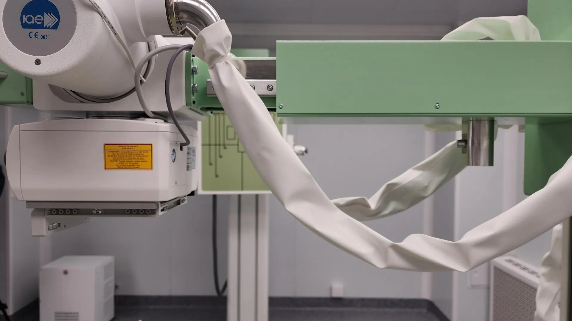 Фото: Ирина Моисеева