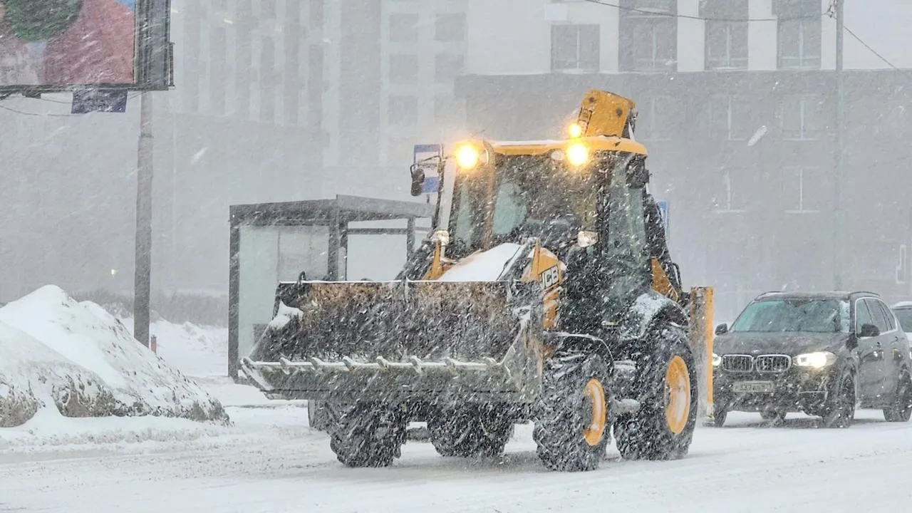 МедиаБанк Подмосковья/Валерия Исаева
