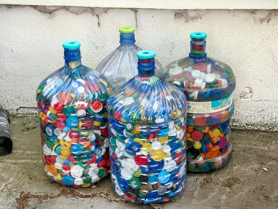 Фото: МедиаБанк Подмосковья/Елена Катасонова