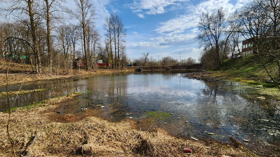 Фото: Екатерина Данилина