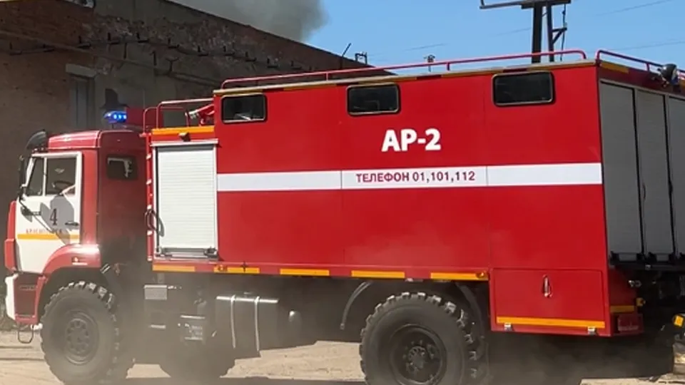 Фото: МедиаБанк Подмосковья/Ерофеева Валерия