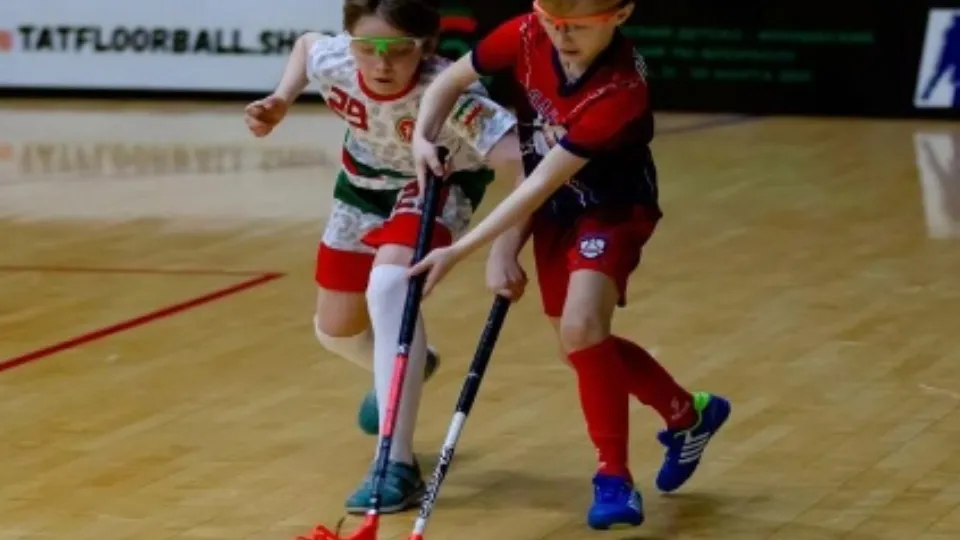 Фото: Дворец спорта "Лама"