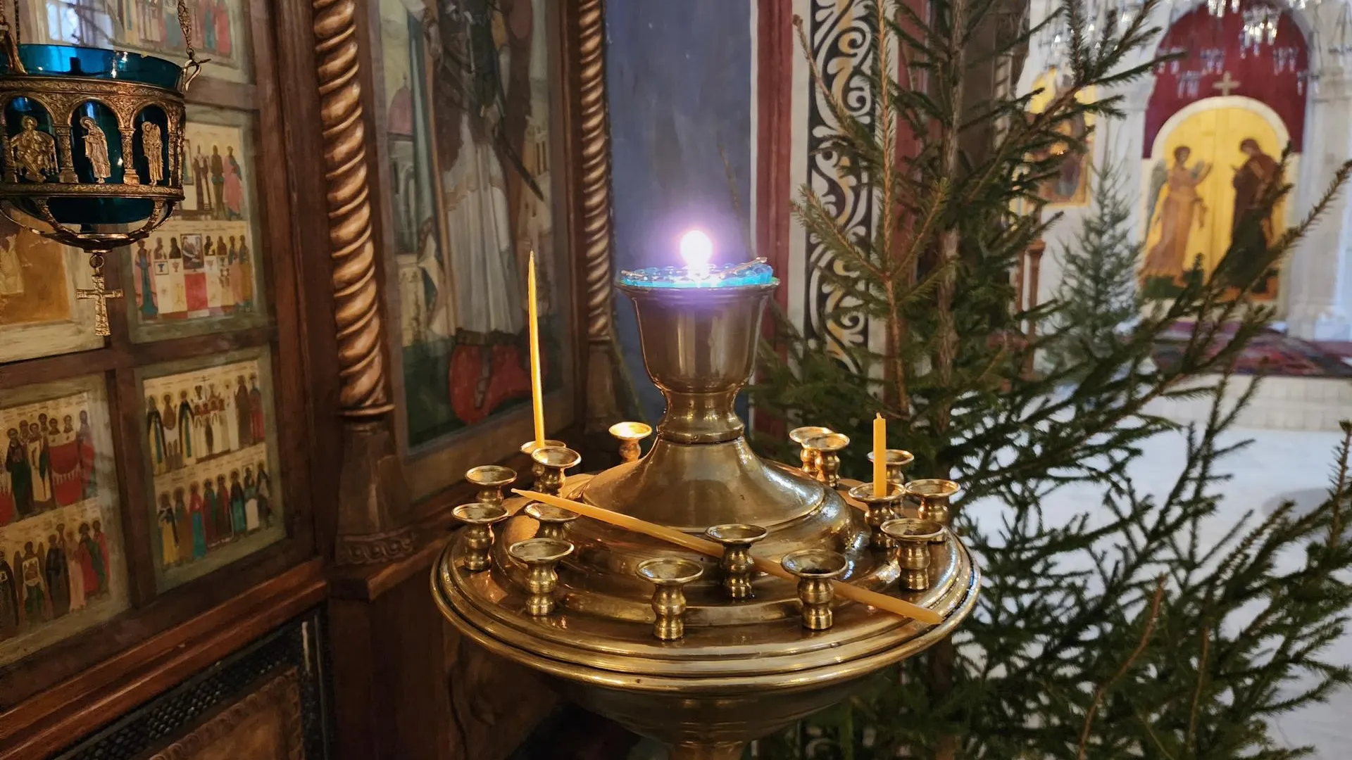 Фото: Мария Панина