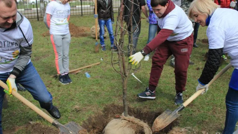Пять тысяч жителей Солнечногорского района поучаствовали в субботнике