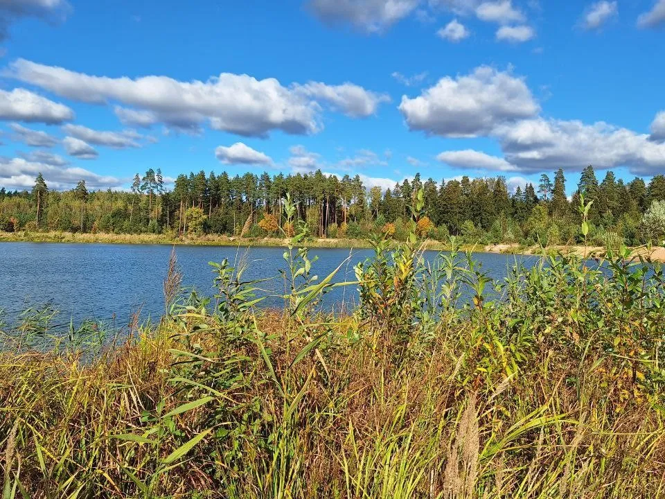 Фото: REGIONS/Максим Зубарев