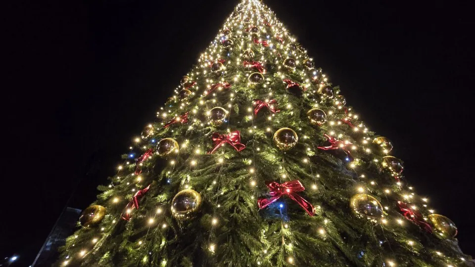 Фото: Министерство благоустройства Московской области