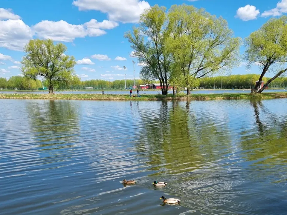 Фото: Яндекс Карты