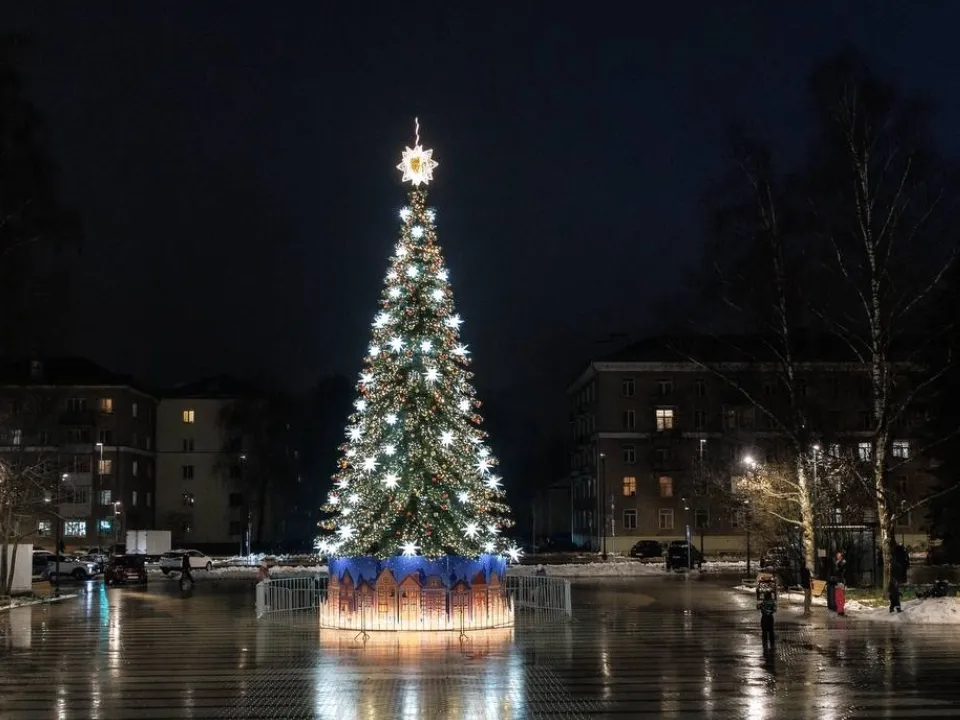 Фото: пресс-служба г.о. Дубна