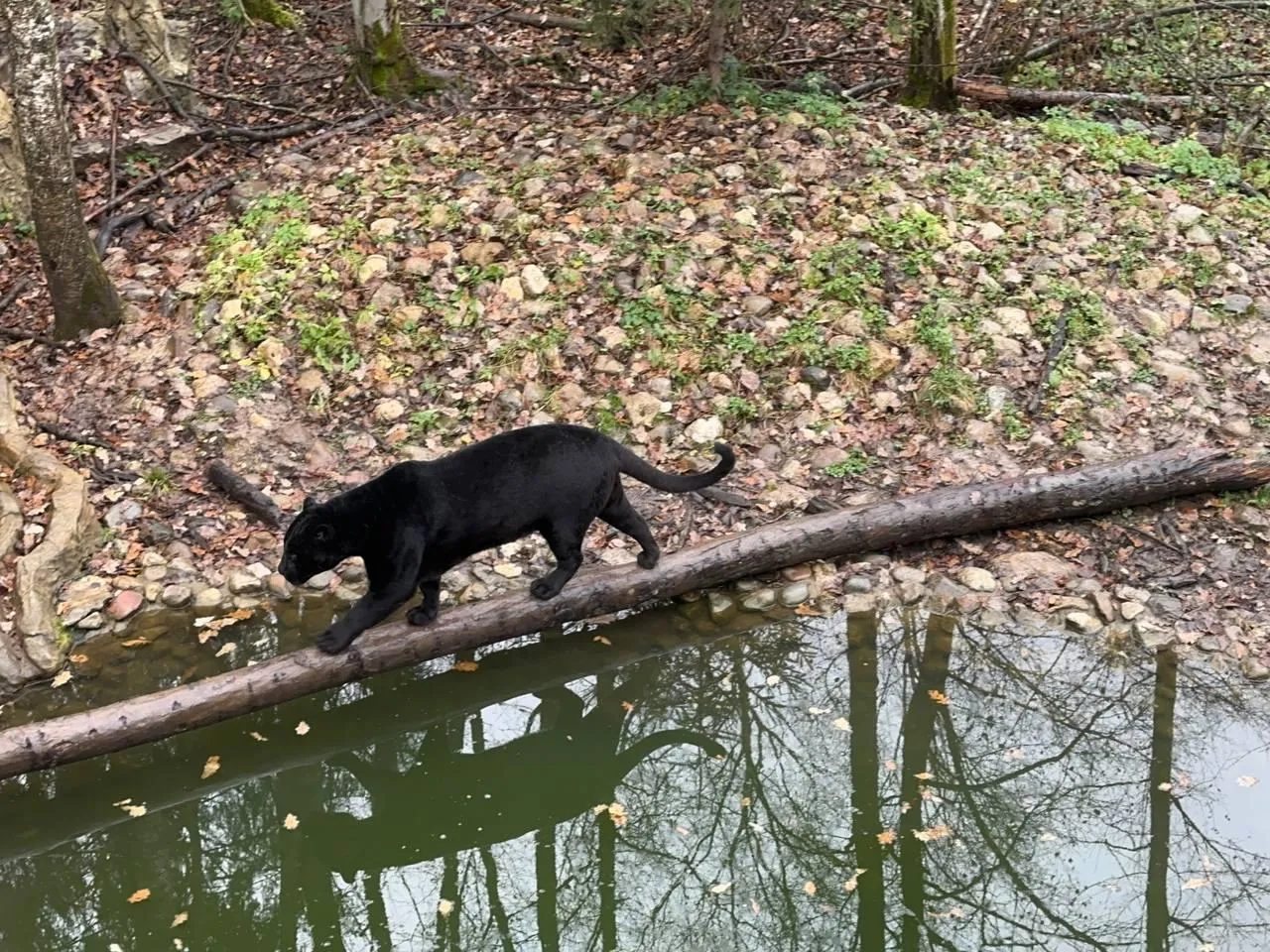 Пресс-служба администрации Можайского муниципального округа