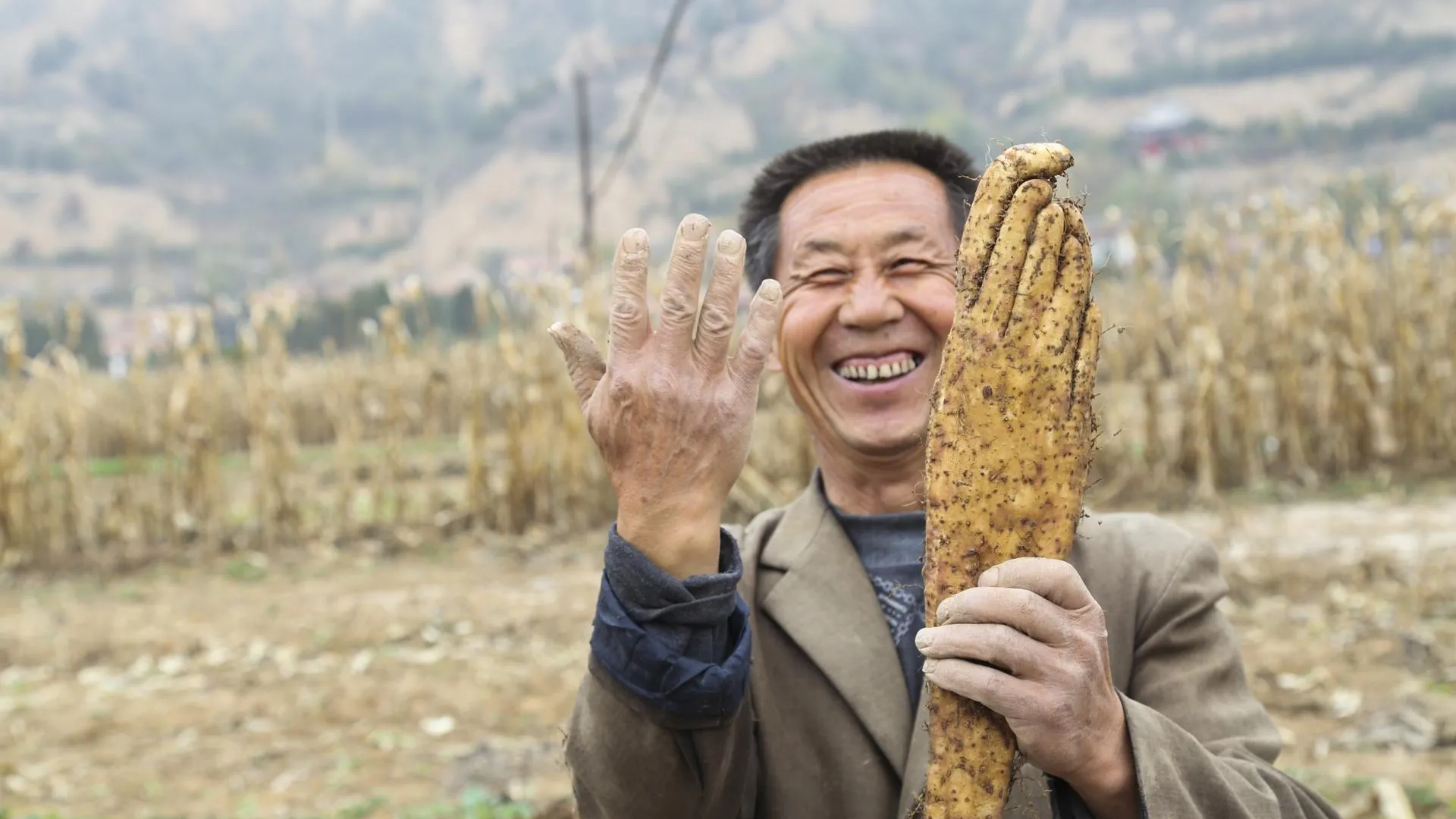 Zheng Bing/ZUMAPRESS.com/Global Look Press