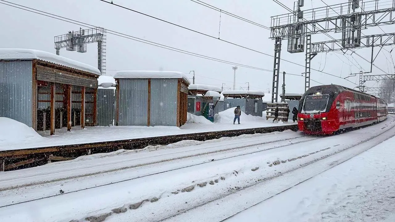 REGIONS/Анастасия Малышенко