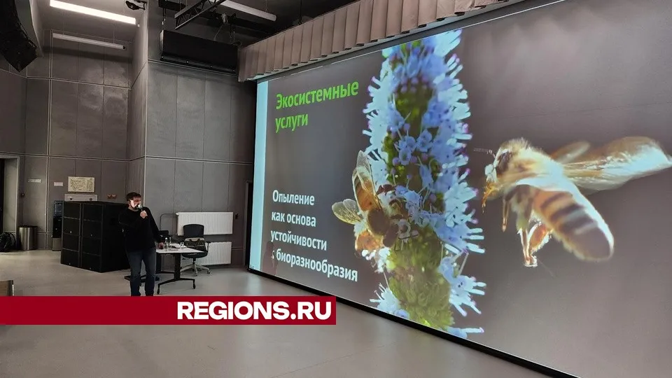 Фото: Михаил Раскин