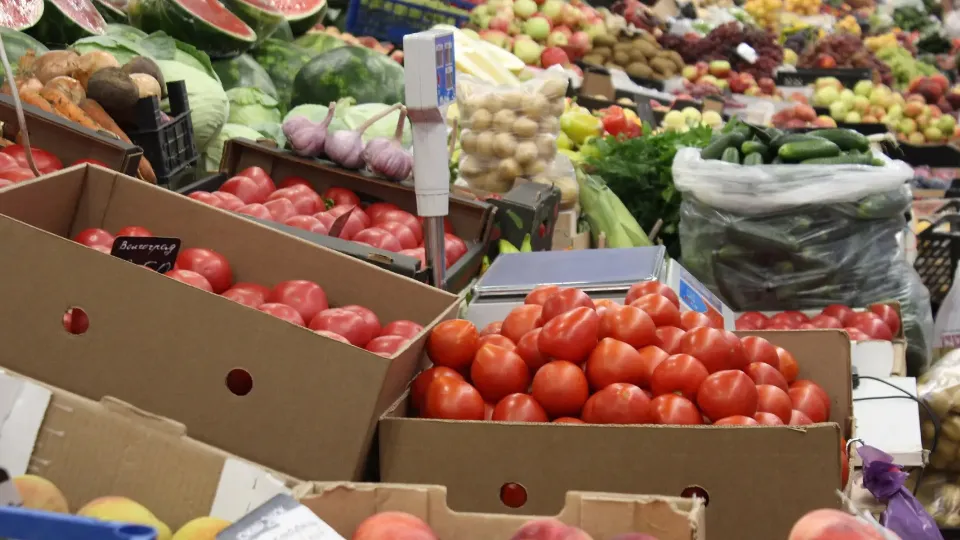 Фото: REGIONS/Анастасия Широкая