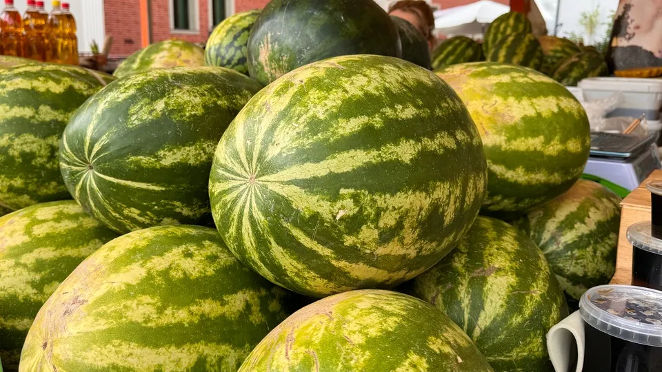 Фото: МедиаБанк Подмосковья/Мария Шматкова