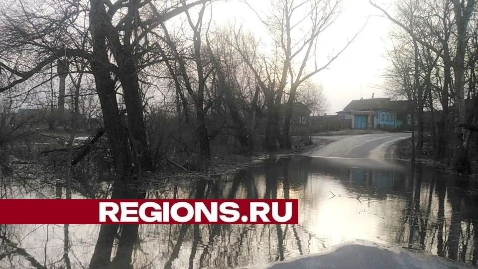 Фото: пресс-служба администрации городского округа Луховицы