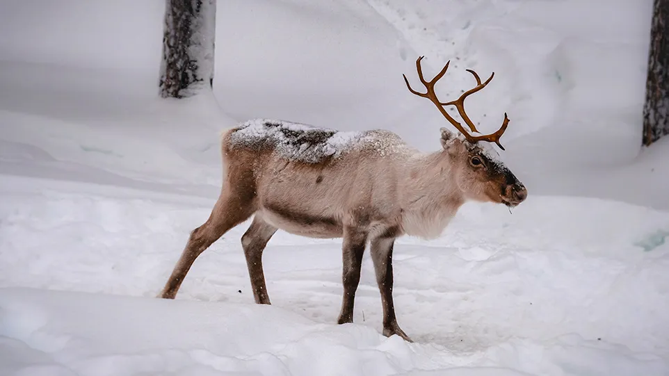 Фото: freepik.com