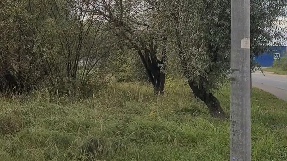 Фото: Минимущества Московской области